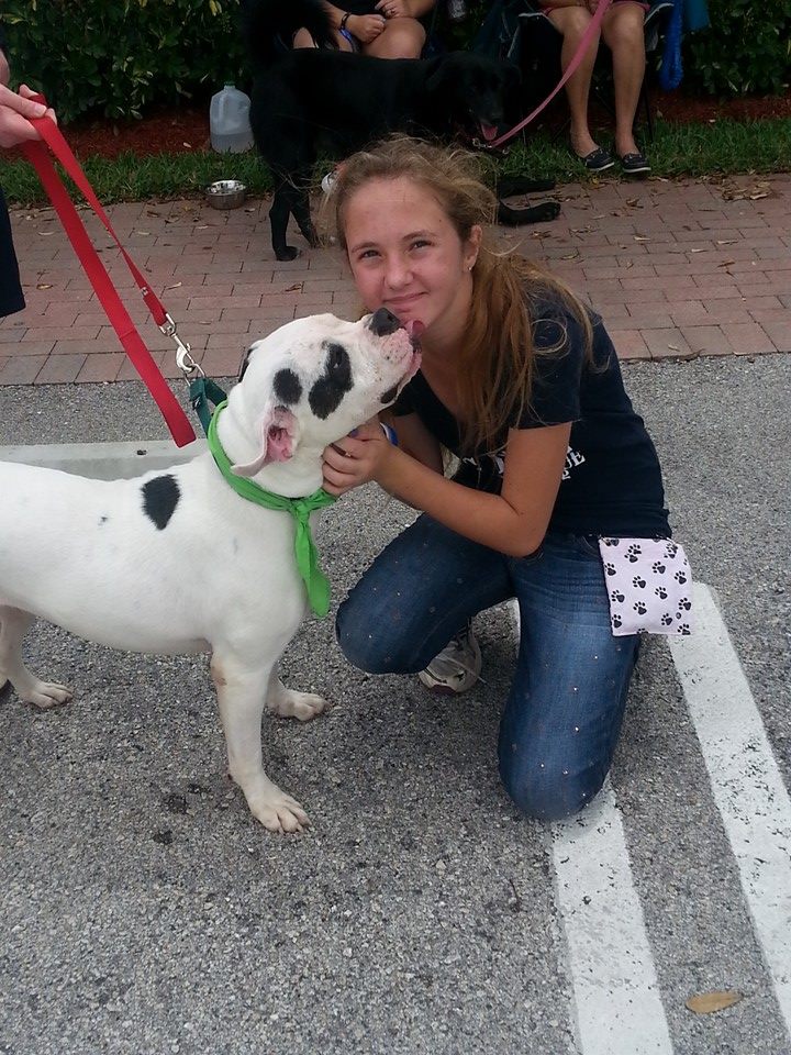 Daisy (FKA) Sophie helped get adopted and had fundraisers to raise money for knee surgery $1500 with Dr. Latimer