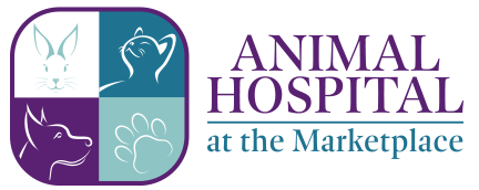 animal-hospital-at-the-marketplace-fl-2